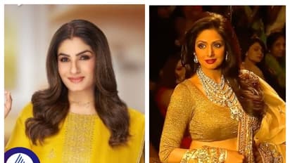 ಎಲ್ಲ ಗಂಡಸರ ಕಥೆ ಏನು ಅಂತ  ರವೀನಾಗೆ ಹೇಳಿದ್ರು ಶ್ರೀದೇವಿ; ಜಗತ್ತೇ ಗಪ್‌ಚುಪ್‌ ಆಗಿತ್ತು!