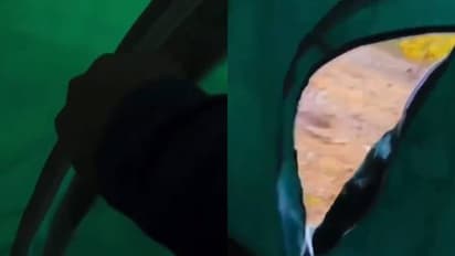 ആരായാലും പേടിക്കും, പേടിച്ചോടും; ടെന്റിന് പുറത്ത് ശബ്ദം കേട്ട് നോക്കിയ യുവാവ് കണ്ട കാഴ്ച