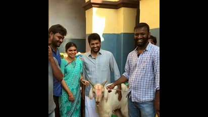 திரையுலகில் சோகம்;  'ஒரு கிடாயின் கருணை மனு' பட இயக்குனர் சுரேஷ் சங்கையா மரணம்!