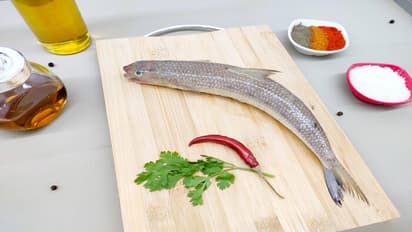 மீனில் 'சிறந்தது' இதுதான்.. 'கிழங்கான் மீன்' வாரி வழங்கும் நன்மைகள் பத்தி தெரியுமா?  