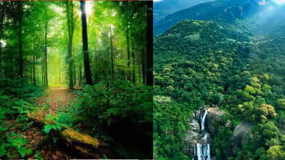 6 hidden gems in Tamil Nadu for serene winter travel