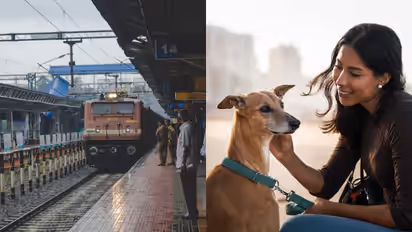 ಭಾರತೀಯ ರೈಲ್ವೇಯಲ್ಲಿ ನಿಮ್ಮ ಮುದ್ದಿನ ನಾಯಿ ಜೊತೆ ಪ್ರಯಾಣಿಸಲು ಏನು ಮಾಡಬೇಕು?