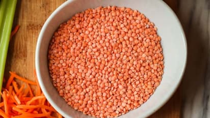 হিন্দুদের কছে মুসুর ডাল আমিষ- মাংসের সমান, কিন্তু কেন এই নিয়ম জানেন