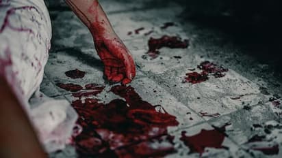 Jharkhand SHOCKER! 25-year-old man strangles live-in partner to death, chops body into 50 pieces