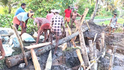 അതിതീവ്രമായ വേലിയേറ്റം, കുട്ടനാട്ടിലെ എൺപതുംപാടം പാടശേഖരം മടവീഴ്ച ഭീഷണിയിൽ