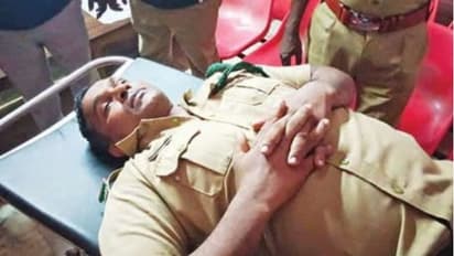 കൃഷി നശിപ്പിച്ച കാട്ടാനയെ തിരയുന്നതിനിടെ മുളങ്കാട്ടിൽ നിന്ന് ആക്രമണം; വനപാലകന് പരിക്കേറ്റു