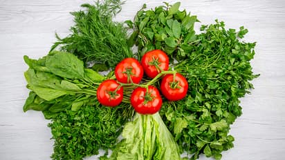 बथुआपासून बनवा हे ५ पदार्थ