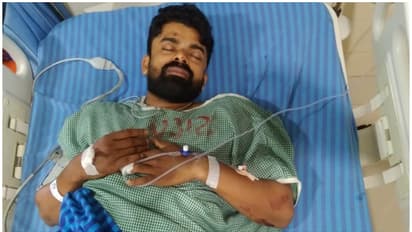 പാലക്കാട് ഹോട്ടൽ ജീവനക്കാരൻ ജോലി കഴിഞ്ഞ് വീട്ടിലേയ്ക്ക് മടങ്ങവേ ബൈക്കിന് കുറുകെ കാട്ടുപന്നി ചാടി, പരിക്ക്