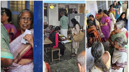 പാലക്കാട് പോളിങ് 50% കടന്നു;  