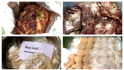 തൃശ്ശൂരിൽ 5 ഹോട്ടലുകളിൽ നിന്നും പഴകിയ ഭക്ഷണം പിടികൂടി; 21 ഹോട്ടലുകൾക്ക് നോട്ടീസ്; 5 എണ്ണത്തിന് പിഴ