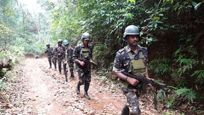 12 Naxalites killed in encounter with security forces in Chhattisgarh's Bijapur; January toll rises to 26