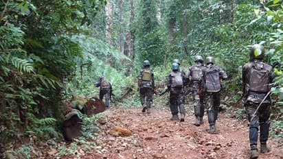 ಛತ್ತೀಸ್ಗಡದಲ್ಲಿ 31 ನಕ್ಸಲರ ಭರ್ಜರಿ ಬೇಟೆ: ಎಕೆ-47 ಸೇರಿ ಭಾರೀ ಶಸ್ತ್ರಾಸ್ತ್ರ ವಶ