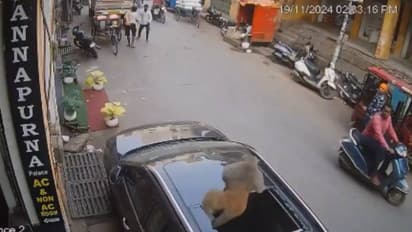 സിസിടിവി ദൃശ്യങ്ങൾ വൈറൽ, എല്ലാം സംഭവിച്ചത് സെക്കന്റുകൾക്കുള്ളിൽ, എസ്‍യുവിയുടെ സൺറൂഫ് തകർത്ത് കുരങ്ങൻ