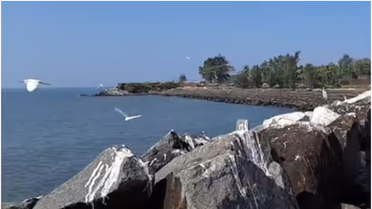 ആശങ്ക; കടലിന് നടുവിൽ ബോട്ട് ഡ്രൈവർക്ക് ദേഹാസ്വാസ്ഥ്യം; വിവരം കിട്ടിയ സ്ഥലത്ത് ബോട്ടില്ല, തെരച്ചിൽ തുടരുന്നു