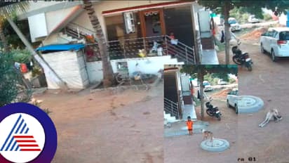 ಆಟವಾಡಲು ಬಂದ ಮಗುವಿನ ಮೇಲೆ ಬೀದಿ ನಾಯಿ ಡೆಡ್ಲಿ ಅಟ್ಯಾಕ್! ವಿಲವಿಲ ಒದ್ದಾಡಿದ ಮಗು!
