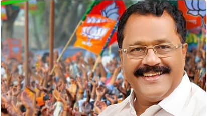 ശബരിമല 'സുവർണാവസരം' പ്രസംഗം: പി.എസ്. ശ്രീധരൻപിള്ളക്കെതിരായ കേസ് റദ്ദാക്കി