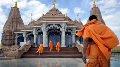 BAPS Hindu Mandir in Abu Dhabi named MENA's Best Cultural Project of 2024