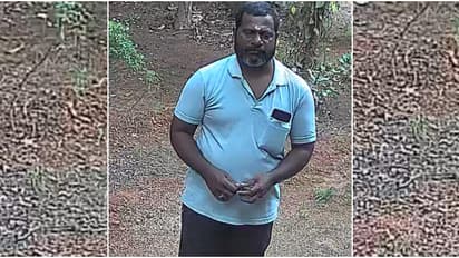 നാട്ടുകാരെ പ്ലീസ്, 'ഞാൻ കുറുവ സംഘാംഗം അല്ല, മരം മുറി തൊഴിലാളി'; നാടാകെ പ്രചരിച്ച സന്ദേശം, ഗതികേടിലായി യുവാവ്