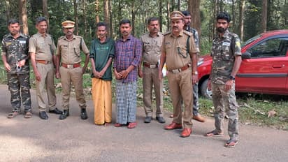 പറമ്പിക്കുളം കടുവാസങ്കേതത്തിൽ ചന്ദനം മുറിച്ച് കടത്താൻ ശ്രമിച്ച കേസിൽ രണ്ട് പേര് കൂടി പിടിയിൽ