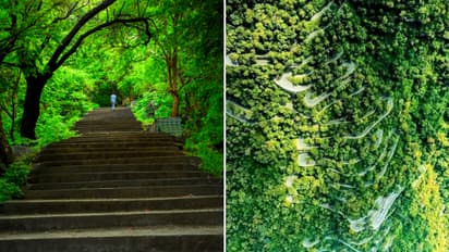 ரூ.1,000 இருந்தா போதும்.. தமிழ்நாட்டில் இந்த இடங்களுக்கு மறக்காம விசிட் அடிங்க!