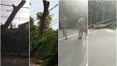 മരം മുറിക്കാനായി റോഡിന് കുറുകെ വലിച്ചു കെട്ടിയ കയർ കഴുത്തിൽ കുരുങ്ങി യുവാവിന് ദാരുണാന്ത്യം; കേസെടുത്തേക്കും