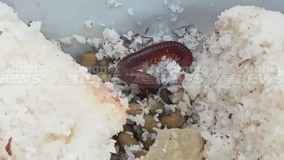 ആശുപത്രി ക്യാൻ്റിനീൽ നിന്ന് പുട്ടും പയറും പപ്പടവും 60 രൂപയ്ക്ക് വാങ്ങി; കഴിക്കാൻ പൊതി തുറന്നപ്പോൾ അട്ട, പരാതി