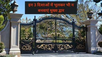 व्यापारात नुकसान? चुकीच्या दिशेतील मुख्य द्वारामुळे होऊ शकते!