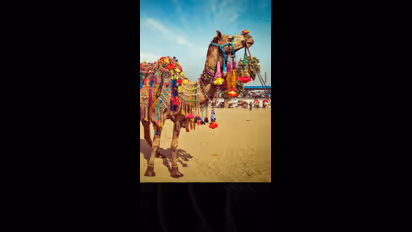 ராஜஸ்தான் போறீங்களா; இந்த 7 பொருட்களை வாங்க மறக்காதீங்க!