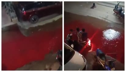 ഹൈദരാബാദിലെ തെരുവുകളില്‍ രാത്രി ഒഴുകിയത് 'രക്തം'? സോഷ്യല്‍ മീഡിയയില്‍ വൈറലായി വീഡിയോ 