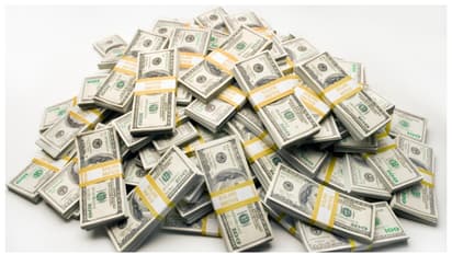 മുൻ കാമുകന്‍റെ 6,000 കോടി രൂപ മാലിന്യ കൂമ്പാരത്തിൽ എറിഞ്ഞ് യുവതി, മാലിന്യ കൂമ്പാരം താപ്പാൻ അനുമതി തേടി യുവാവ്