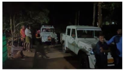 കുട്ടമ്പുഴയിൽ വനത്തിലേക്ക് പോയ പശുക്കളെ തെരഞ്ഞിറങ്ങിയ 3 സ്ത്രീകളെ കാണാതായി