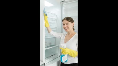 ఈ ఒక్క ఆకుతో.. ఫ్రిజ్ లో వాసన రాకుండా చేయొచ్చు