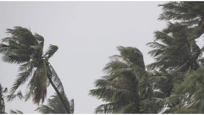 ஃபெஞ்சல் புயல் இன்னும் கரையை கடக்கவில்லை.! ஷாக் தகவலை வெளியிட்ட தமிழ்நாடு வெதர்மேன்