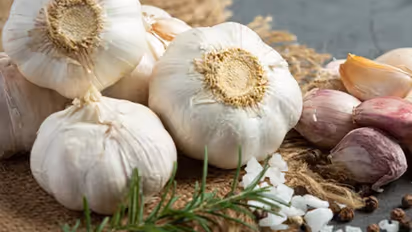 தினமும் காலை வெறும் வயிற்றில் '2' பல் பூண்டு சாப்பிட்டால் இத்தனை நோய்கள் நீங்குமா?