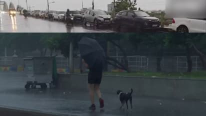 ഫിൻജാൽ ചുഴലിക്കാറ്റ്: ചെന്നൈയിൽ കനത്ത മഴ, വെള്ളക്കെട്ട്; വിമാനങ്ങൾ റദ്ദാക്കി; ഫ്ലൈ ഓവറുകളിൽ കാർ പാർക്കിംഗ്