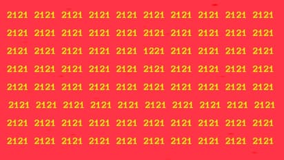 Optical Illusion Game December 2