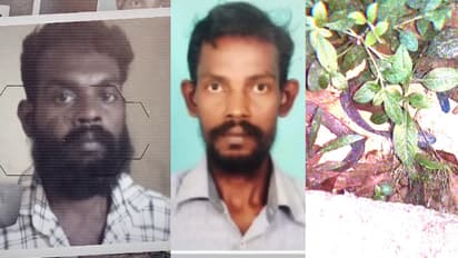 മകൾക്ക് വിവാഹ പ്രായമായില്ലെന്ന് പറഞ്ഞിട്ടും കേട്ടില്ല; അടങ്ങാത്ത പകയുമായി യുവാവെത്തി, നടന്നത് ക്രൂരകൊലപാതകം