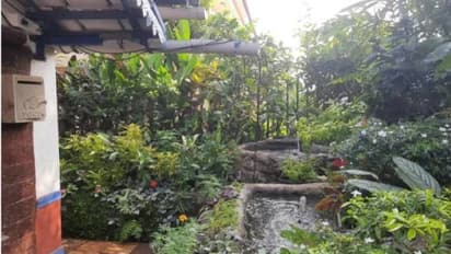 ഈ വീടും ദില്ലിയിൽ തന്നെയാണ്, പക്ഷേ ശുദ്ധവായു സുലഭം, 15,000 -ത്തിലധികം ചെടികളുമുണ്ട്