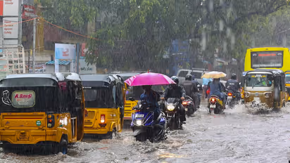 சென்னை முதல் வேலூர் வரை இன்று தரமான சம்பவம் இருக்காம்! தமிழ்நாடு வெதர்மேன் பிரதீப் ஜான் தகவல்!