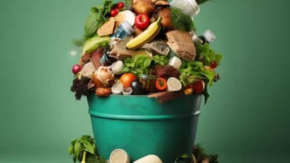 உலகில் அதிக உணவை வீணாக்கும் டாப் 10 நாடுகள்! இந்தியா எந்த இடத்தில் உள்ளது?