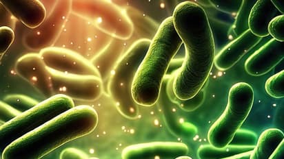 Health Tips: ആന്റി ബയോട്ടിക് ഗുണങ്ങള് അടങ്ങിയ ഏഴ് ഭക്ഷണങ്ങള്