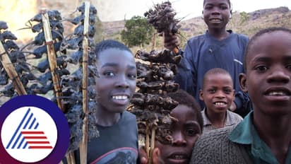 ಫ್ರೈಡ್ ಇಲಿ ಮಾಂಸಕ್ಕೆ ಭರ್ಜರಿ ಬೇಡಿಕೆ, ಕಚ್ಚಿ ಕಚ್ಚಿ ತಿಂತಾರೆ ಜನ