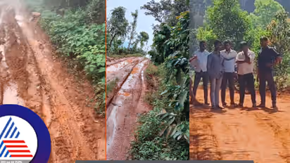 Kodagu Coffee growers worried as Cyclone Fengal brings heavy rainfall