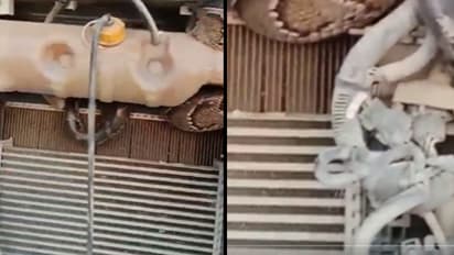 ആരുമറിയാതെ എഞ്ചിനിൽ ഒളിച്ച് യാത്ര 98 കിലോമീറ്റർ; നാടുവിട്ടുപോയ ആ കക്ഷി മറ്റാരുമല്ല,ഭീമൻ പെരുമ്പാമ്പ്, വീഡിയോ