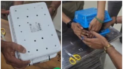 കൊച്ചിയിൽ വന്നിറങ്ങിയ രണ്ട് പേരുടെ പെരുമാറ്റത്തിൽ സംശയം, ബാഗേജിൽ നിന്ന് അസാധാരണ ശബ്ദവും; 14 അപൂർവയിനം പക്ഷികൾ