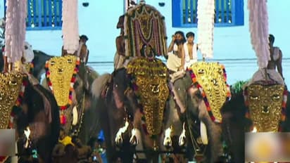 ആന എഴുന്നള്ളിപ്പിൽ തൃപ്പൂണിത്തുറ പൂർണത്രയീശ ക്ഷേത്ര ഭരണസമിതിക്കെതിരെ കേസ്;'ഹൈക്കോടതി മാനദണ്ഡങ്ങൾ പാലിച്ചില്ല'