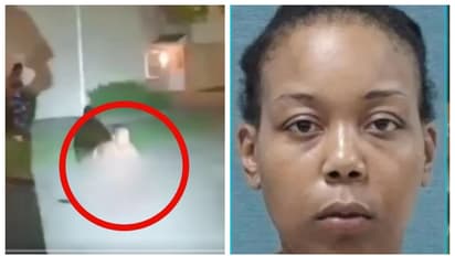 'നിങ്ങൾ രാജ്യത്തിന്‍റെ നാണം കെടുത്തി' എന്ന് കോടതി; പൂച്ചയെ കൊന്ന് തിന്ന യുഎസ് യുവതിക്ക് ഒരു വര്‍ഷം തടവ്