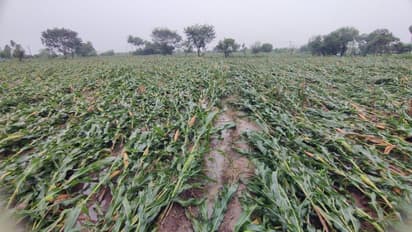 பெஞ்சல் புயலில் பாதிக்கப்பட்ட விவசாயிகள் நிவாரணம் பெறுவது எப்படி?