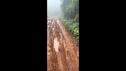 ಚಿಕ್ಕಮಗಳೂರು: ನರಕ ಸದೃಶ್ಯ ಈ ರಸ್ತೇಲೂ ನಿತ್ಯ ಸಾವಿರಾರು ಪ್ರವಾಸಿಗರು! ಚುನಾವಣೆ ಬಳಿಕ ತಲೆಹಾಕದ ಜನಪ್ರತಿನಿಧಿಗಳು!