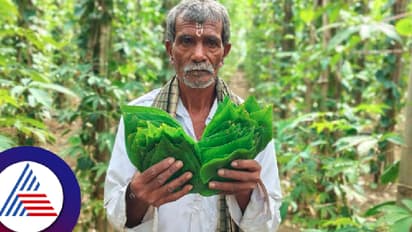 ರೈತ ಮಾಡಿದ ಆ ನಿರ್ಧಾರದಿಂದ ಇಂದು ತಿಂಗಳಿಗೆ 20 ಸಾವಿರ ರೂ ಲಾಭ. ವರ್ಷಕ್ಕೆ ಲಕ್ಷ ಲಕ್ಷ ಸಂಪಾದನೆ!